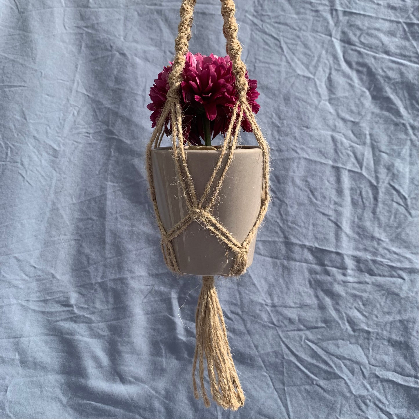 a twine double helix macrame plant hanger holding a greyish pot with a purple flower inside, against a blue background