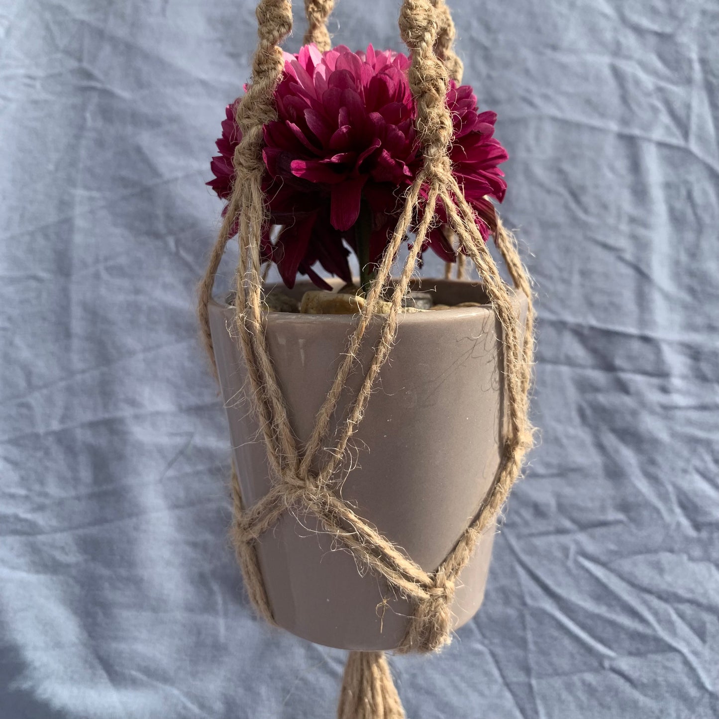 a twine double helix macrame plant hanger holding a greyish pot with a purple flower inside, against a blue background