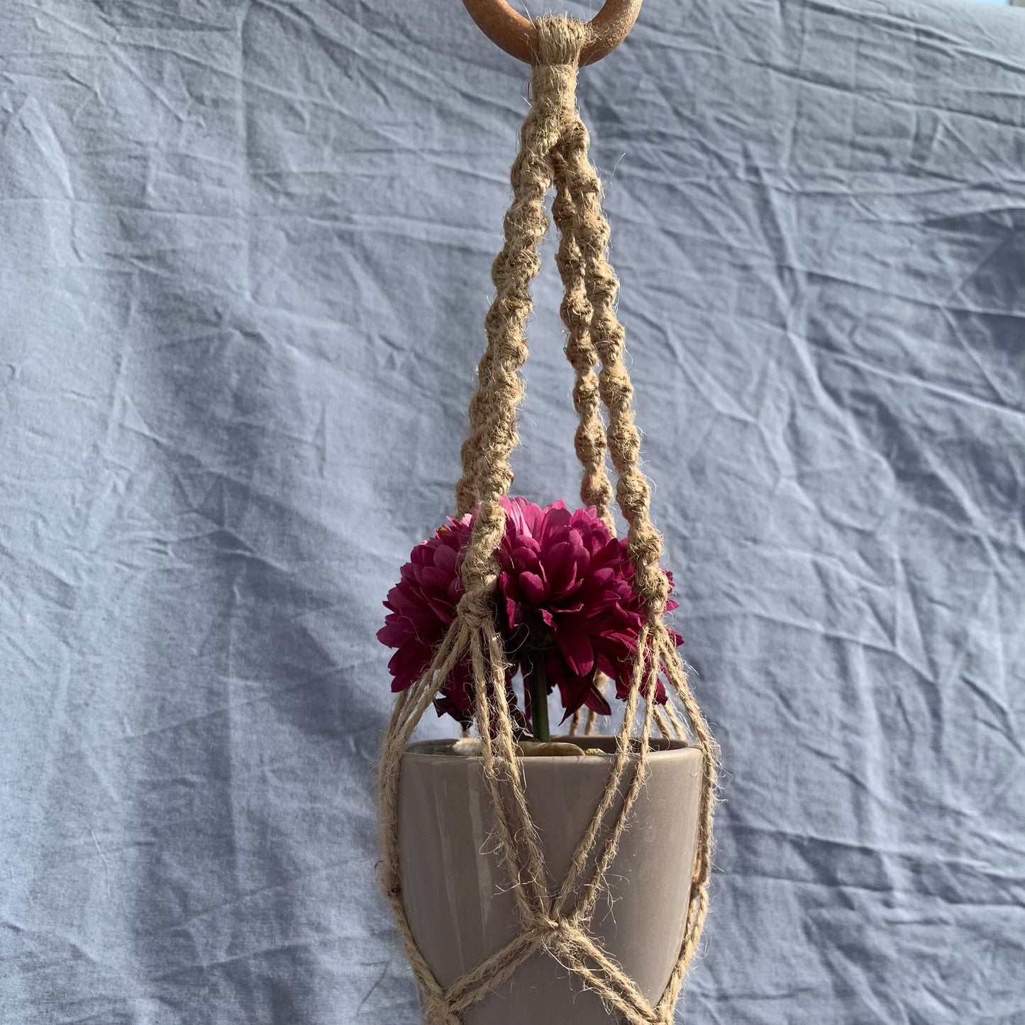 a twine double helix macrame plant hanger holding a greyish pot with a purple flower inside, against a blue background